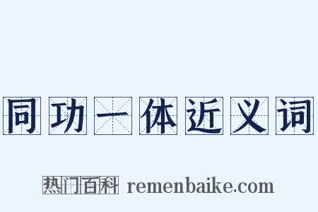 同功一体近义词是什么意思的图片